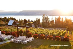 Summerhill Winery Wedding Ceremony