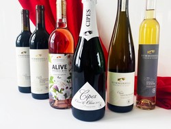 Coast-to-Coast Wine Care Pack