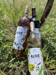 Alive Mixed Case