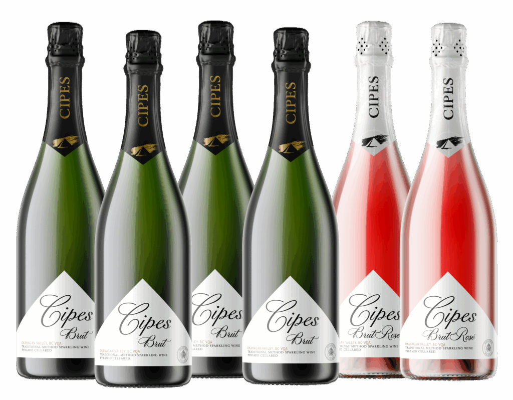 New Year’s 2025 Party Pack New Year’s 2025 Party Pack